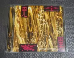 BRAIN DRIVE ブレイン・ドライブ 完全驚異 CD アルバム