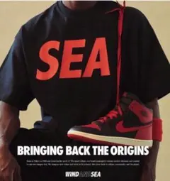 WIND AND SEA TeeJordan bred Tシャツ サイズ M