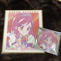 アイカツ Ani-Art 缶バッジ ミニ色紙 音城セイラ