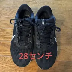 Nike Pegasus 40ブラック　28センチ