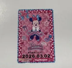 ミニーの日　リゾラ フリーきっぷ ミニーのファンダーランド