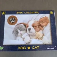 Item thumbnail for item df62badd-5632-4546-9321-45830682400c