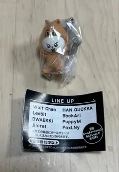 SKZOO つまんでつなげてますこっと vol.2 リービット Leebit