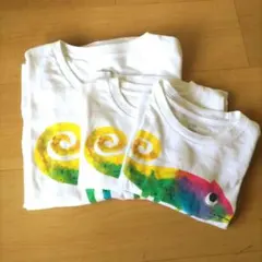 カラフルカメレオン長袖Tシャツ ３枚セット