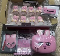 2026年最新】dwaekki skzooの人気アイテム - メルカリ