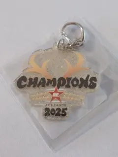 2026年最新】鹿島アントラーズ優勝記念の人気アイテム - メルカリ