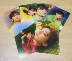 SEVENTEEN リパケ　マンネズセット