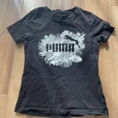 PUMA Tシャツ 黒　140