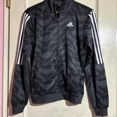 Item thumbnail for item 100b7c53-86c0-4923-b86c-02a9db032d4c