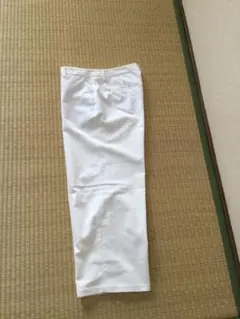 Item thumbnail for item d32d4dcb-5744-494c-b839-1abde8a30b35