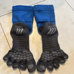 Tabio 五本指ソックス 青
