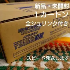 新品・未開封　テラスタルフェスEX １カートン