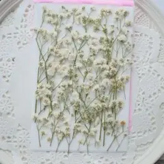 ゆみちゃん様 リクエスト 2点 まとめ商品