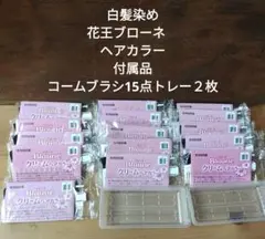 未開封 ブローネクリームヘアカラー 付属品　コームブラシ15点　トレー２枚付きのサムネイル