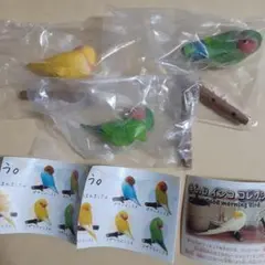 手のりインココレクション　コザクラインコ　コンプリート　まとめて
