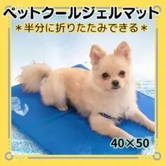 Item thumbnail for item 0016baf4-8ba0-464b-bb61-36d100299e02