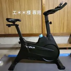 VALX バルクス スピンバイク エアロバイク 岡山県東部引取のみ
