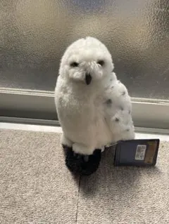 ユニバーサルスタジオ　フクロウ ぬいぐるみ 約30cm