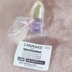 非売品CANMAKE ミニチュアコレクション カラフルネイルズ