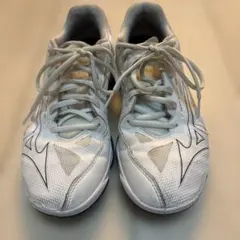 バドミントンシューズ25