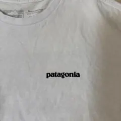 patagonia ホワイト Tシャツ Sサイズ