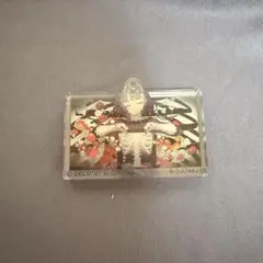 乙女解剖 アクリルキーホルダー DECO*27