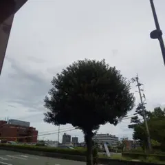 ソーくん様専用