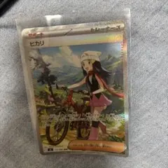 ヒカリ SAR 115/080 MEGA 拡張パック インフェルノX