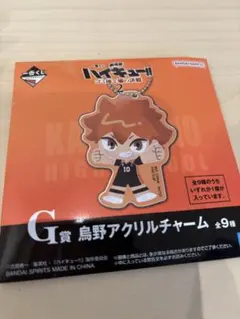ハイキュー　一番くじ　G賞　日向