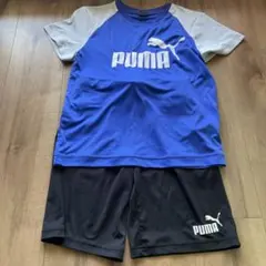 PUMA キッズ Tシャツ ショートパンツ セット