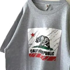 アルスタイル 熊 ベアー カリフォルニア パブリック Tシャツ L グレー古着