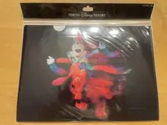 東京ディズニーリゾート ミッキー クリアファイル