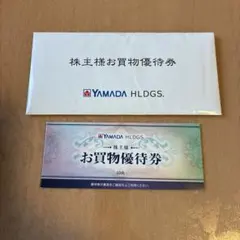 YAMADA HLDSG お買物優待券 10枚