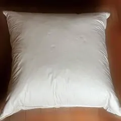 누드 쿠션, 일본 필러, 100% 깃털, 65cm x 65cm