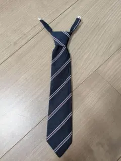 Item thumbnail for item 1f709222-cc9f-4bdf-8103-317f1a1fbf39