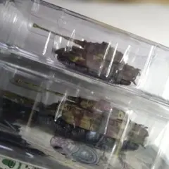 はなちゃん様 リクエスト 3点 まとめ商品