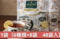 MINTON 6 VARIETY SELECTION 48袋入のサムネイル
