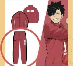 ハイキュー‼︎ 音駒高校ジャージ　ドンキコラボ　M