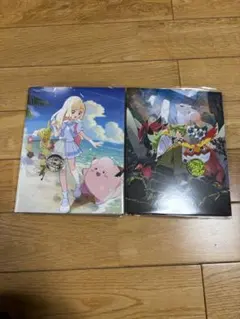 リーリエコレクションファイル　N コレクションファイル