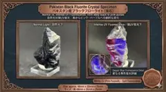 2026年最新】ブラックフローライトの人気アイテム - メルカリ