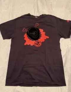 【稀少】STUSSY　Tシャツ　ステューシーのサムネイル