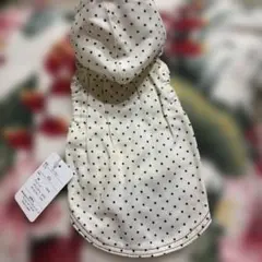 Item thumbnail for item 93972e31-972d-428a-a627-497602a1b889