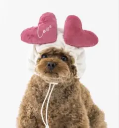 Item thumbnail for item 780ddf53-1b8c-4d0b-ba9f-bb7f6908cdbe