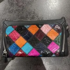 新品未使用 COACH コーチ バスキアコラボ 恐竜長財布 シグネチャー