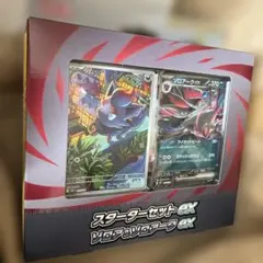 ポケモンカード スターターセットex ゾロア＆ゾロアークex