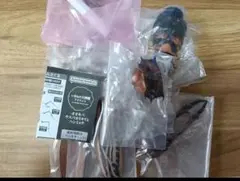 いきもの大図鑑アドバンス　オオキバウスバカミキリダーク