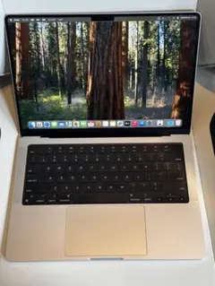2025年最新】macbook pro m1 max 64gbの人気アイテム - メルカリ