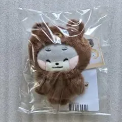 パクゴヌク ゴニニ zeroni マグネットフォトホルダー ぬいぐるみ ゼベワン