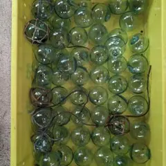 ガラス玉　浮き玉　 小玉　70個