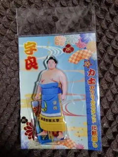 新品•未使用•非売品】相撲 遠藤関化粧廻し バスタオル - メルカリ